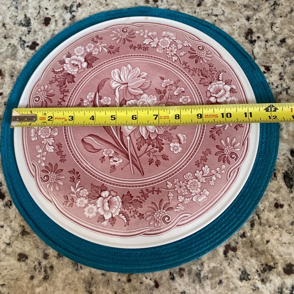 SPODE Archive Collection Georgian Series "Botanicals" Display Plate Collectible - Picture 3 of 6